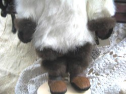 alaska doll face_02